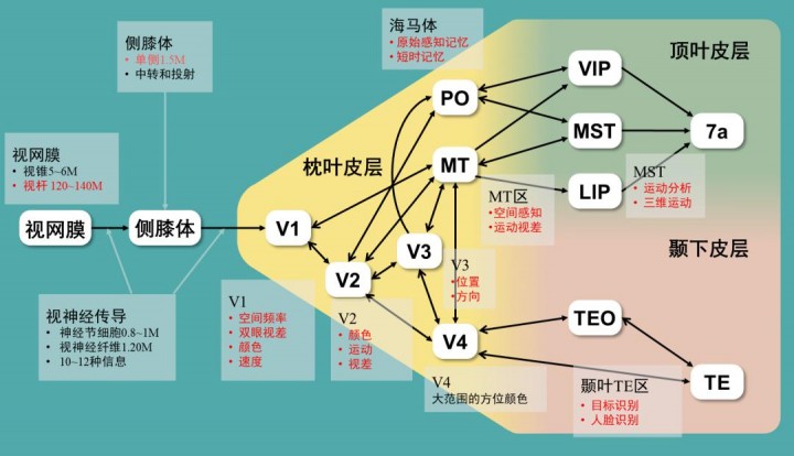 圖像分會.jpg